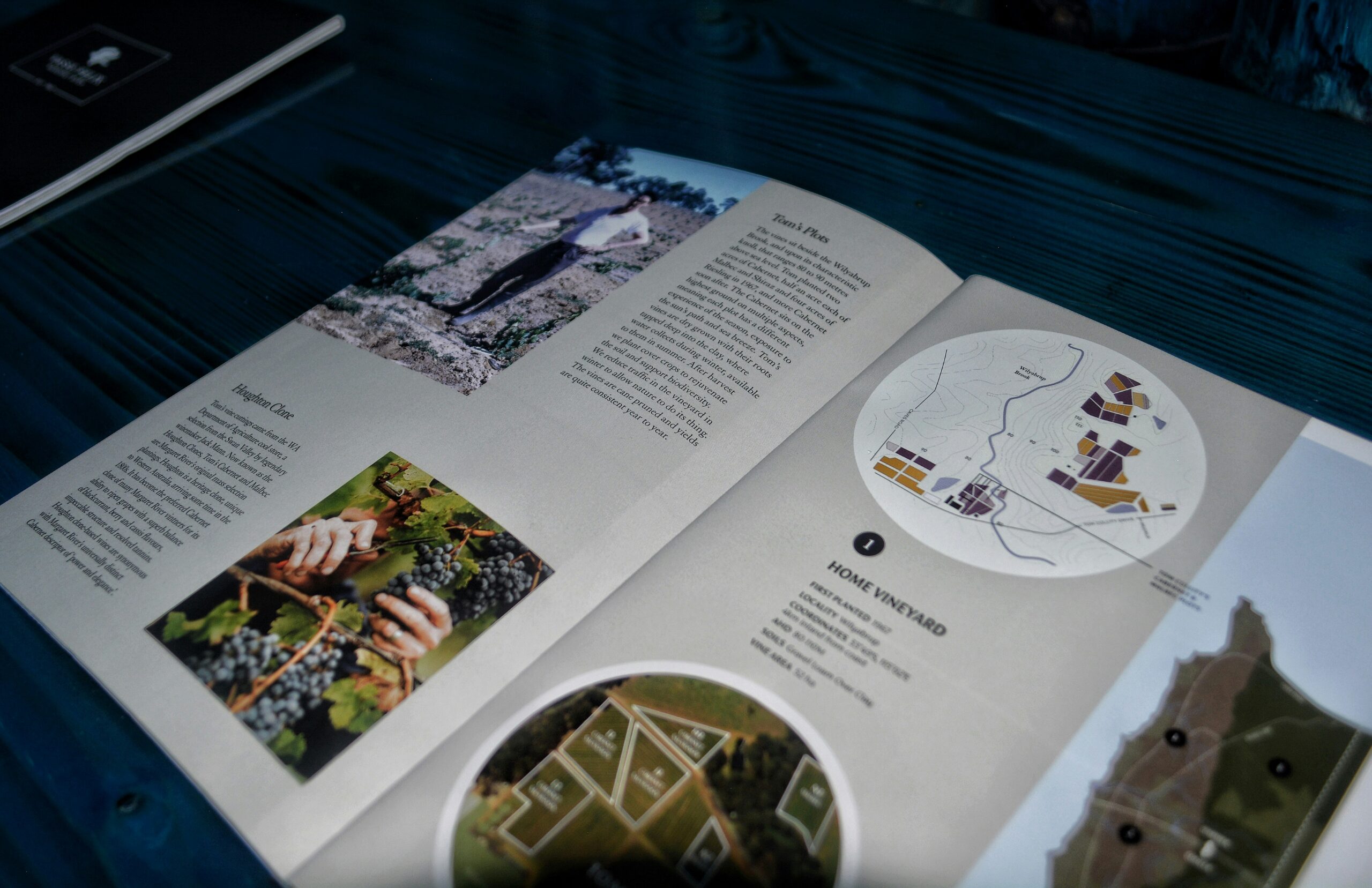 Ansicht eines Leporello zur Informationsweitergabe über ein Weingut